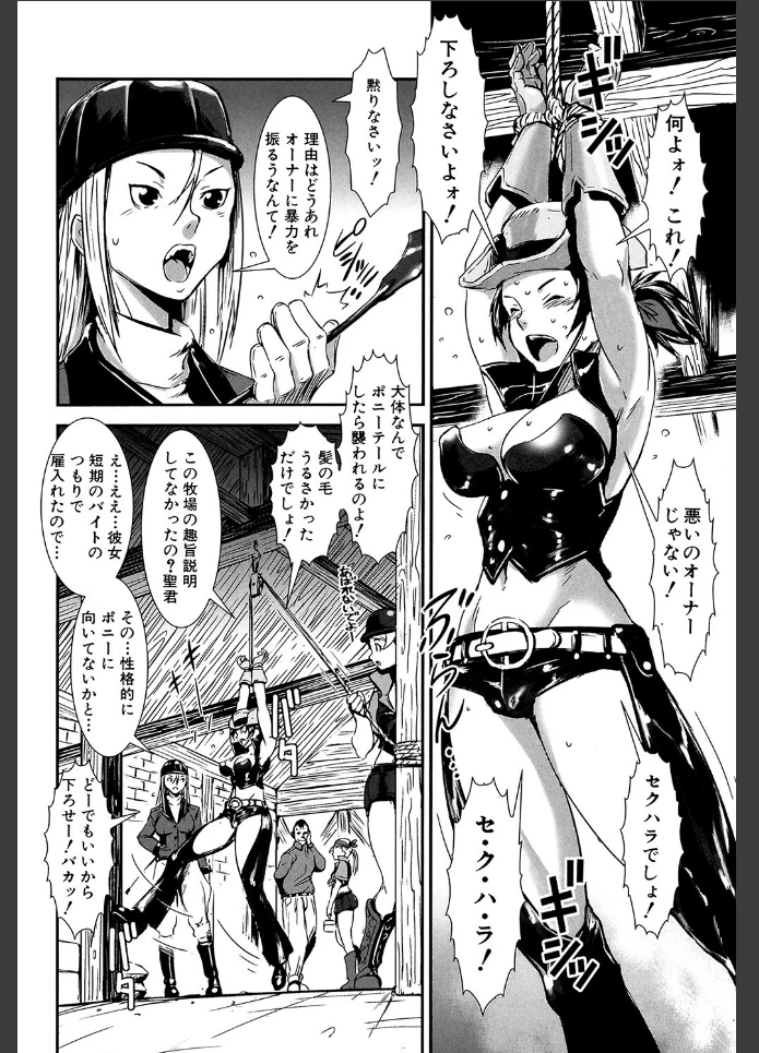 画像7