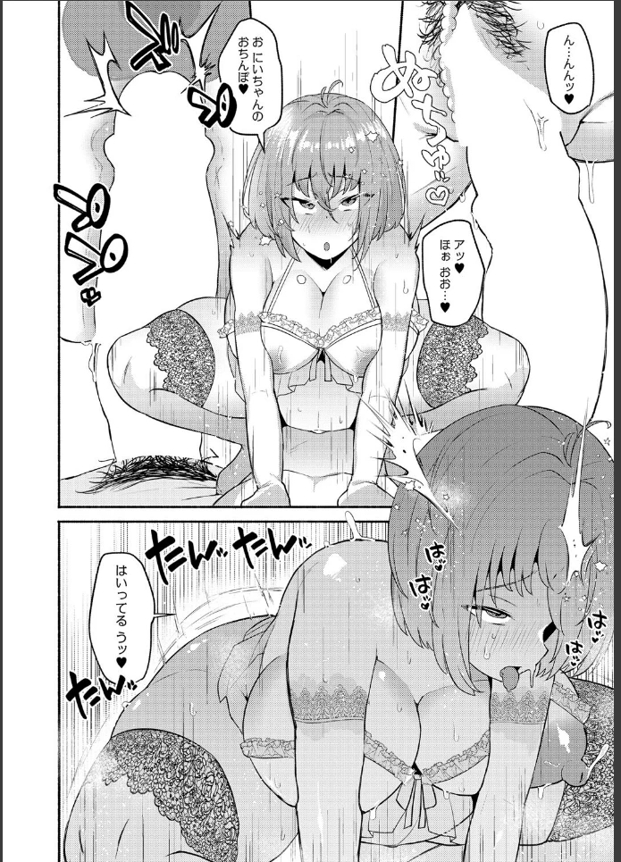 画像15