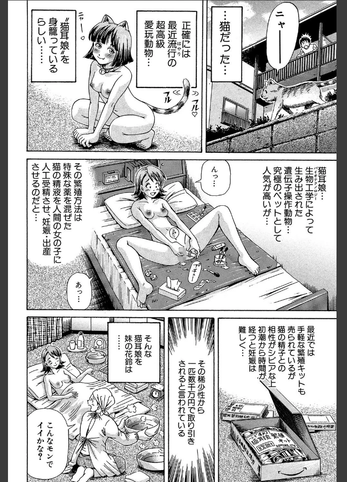 画像9
