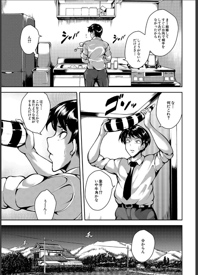 画像14
